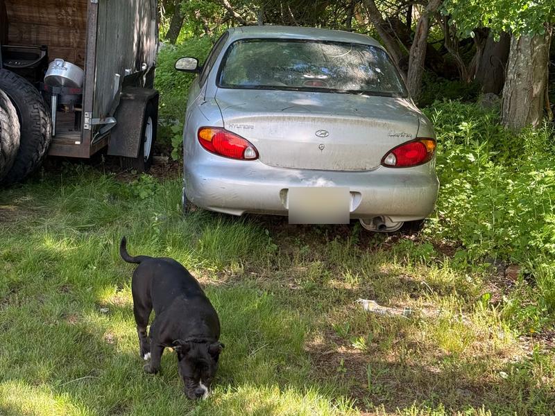 Silver Hyundai Elantra parked in overgrown grass bought by Try Auto Way, car buyer in Princeton NJ
